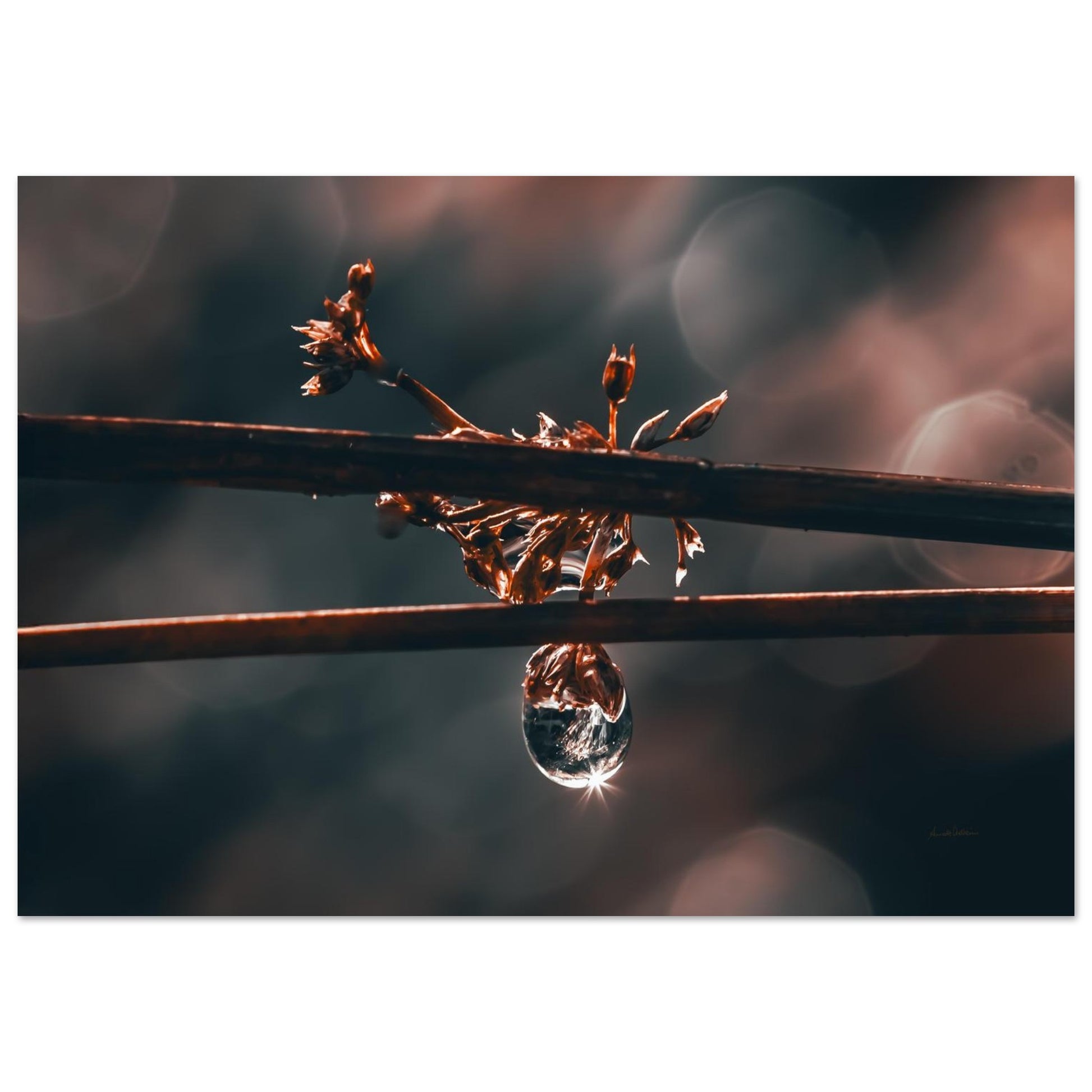 de4c5101-e767-4a82-be1d-ee7a8267979d