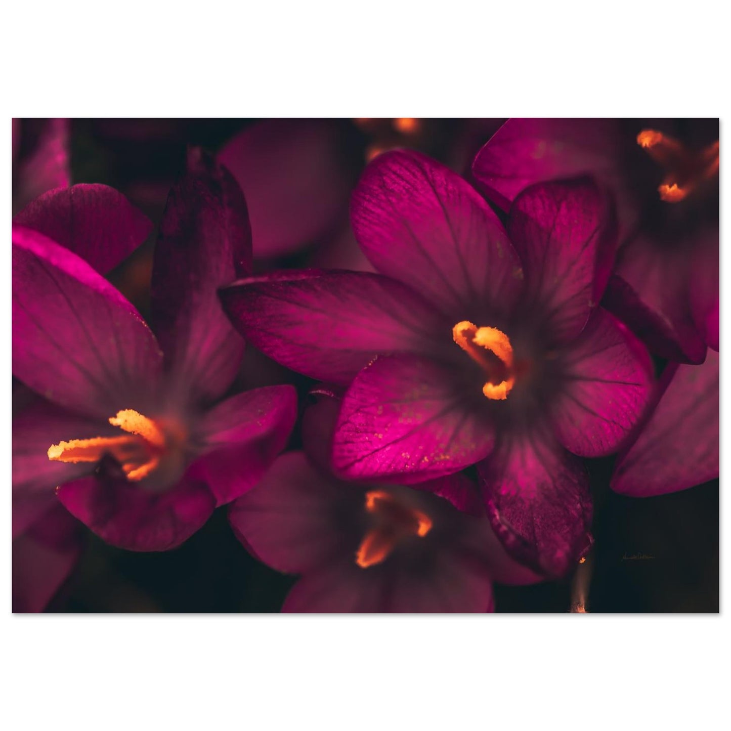 e76b18ce-ca5c-4820-a99d-6c0ca80b0bbb