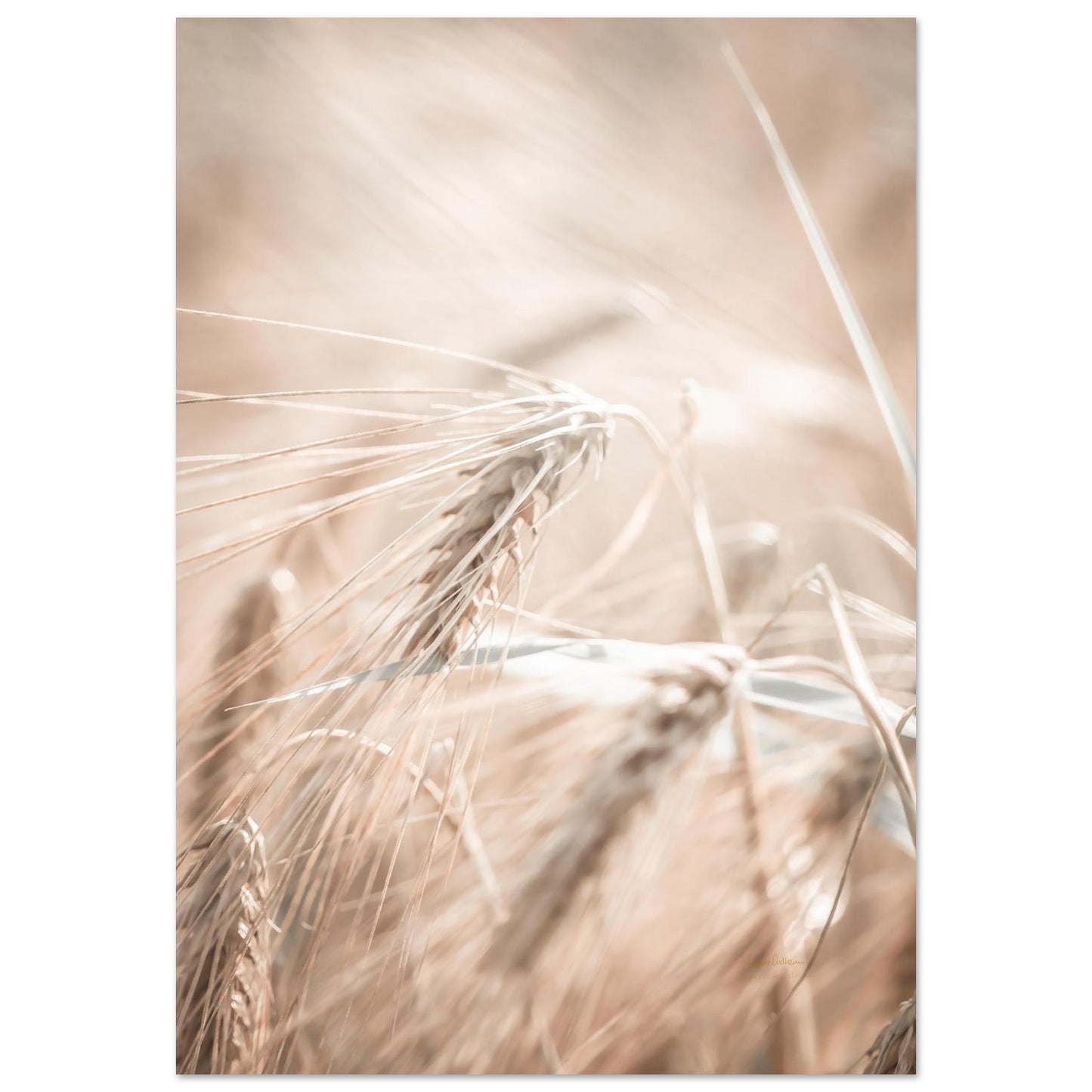 e7ff6988-1675-4ff3-828d-21868029a581