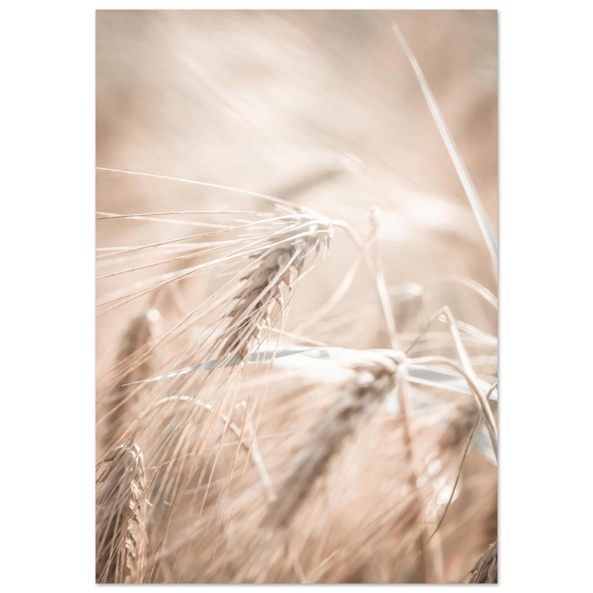 e7ff6988-1675-4ff3-828d-21868029a581