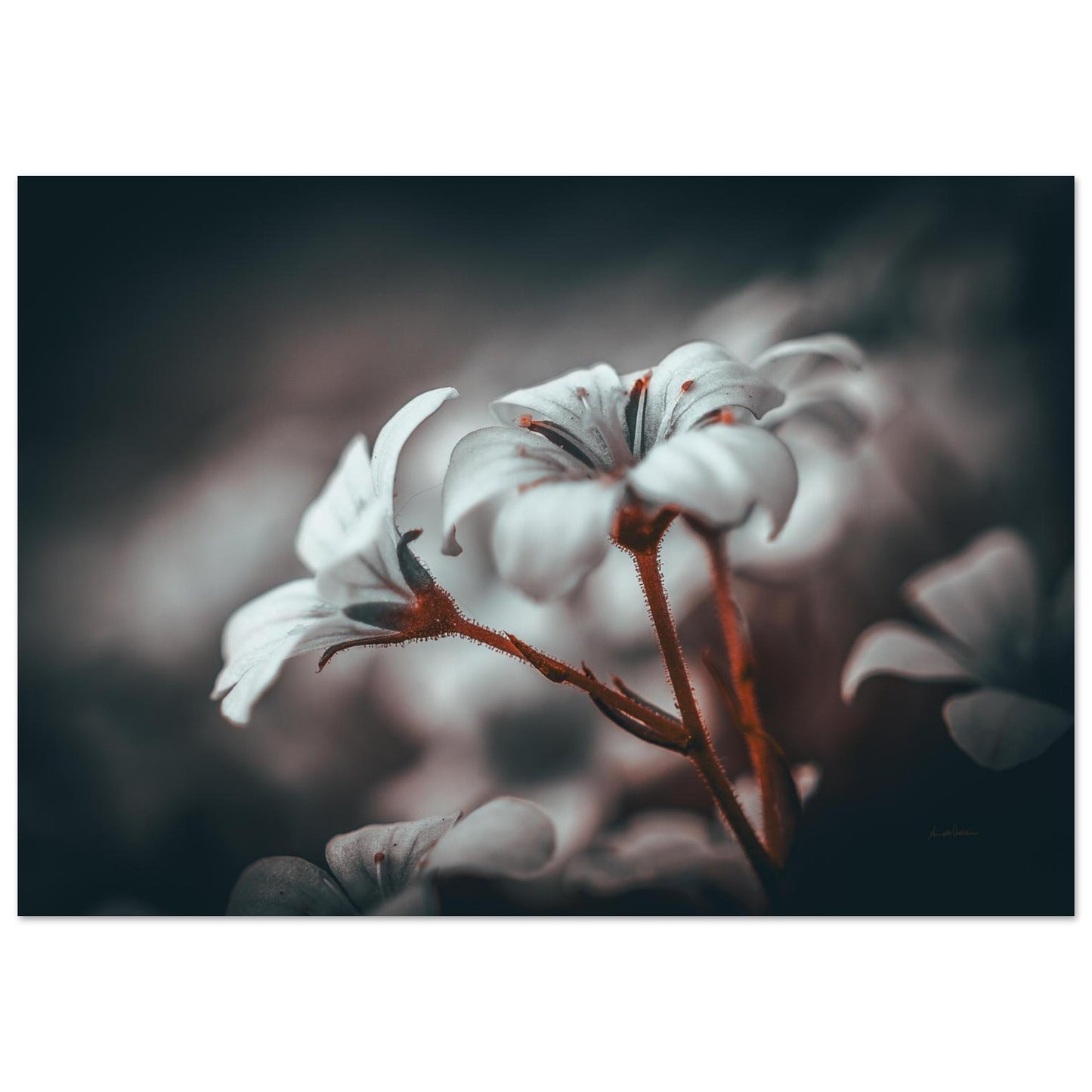 f372227f-6d95-4cc7-bb40-ff3554ed1104