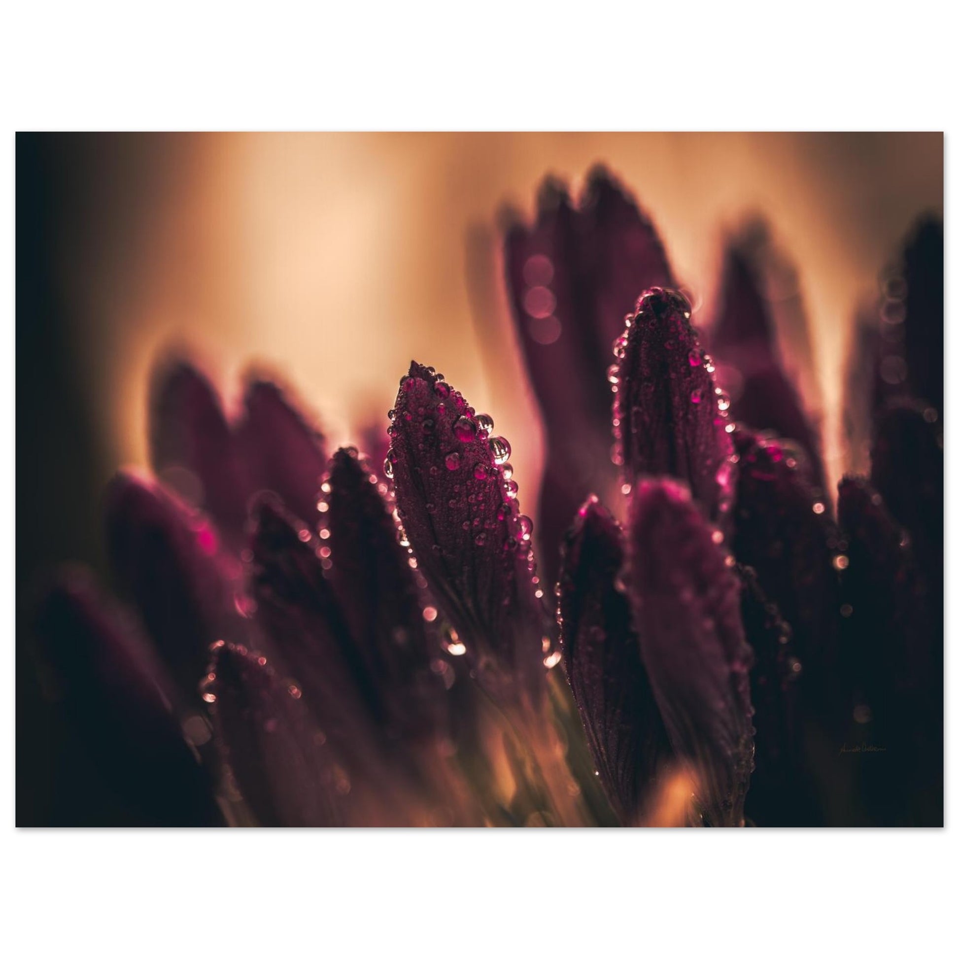 f883843f-0858-4826-a1d7-7b0116c2f5ea