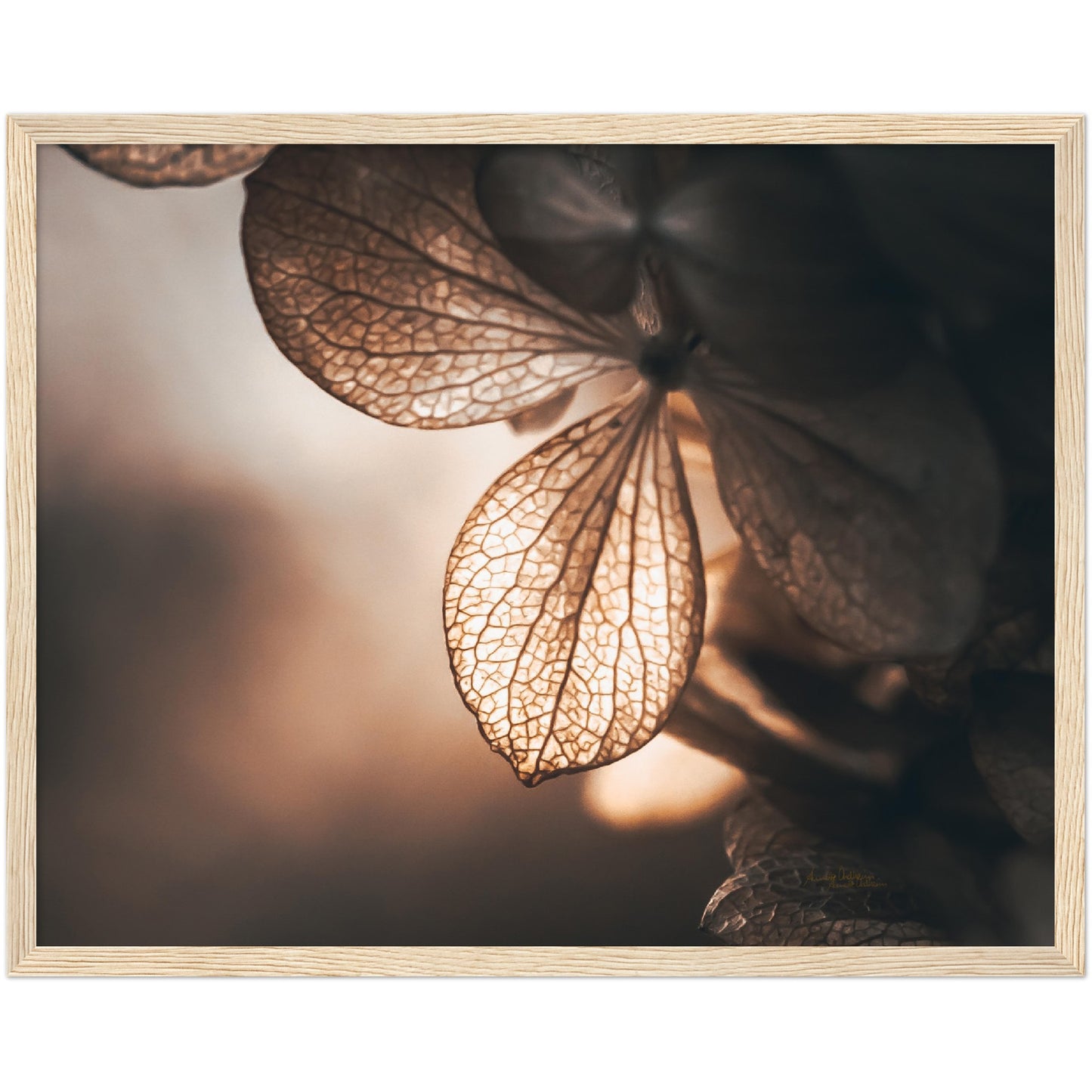 Golden leaf - liggende format