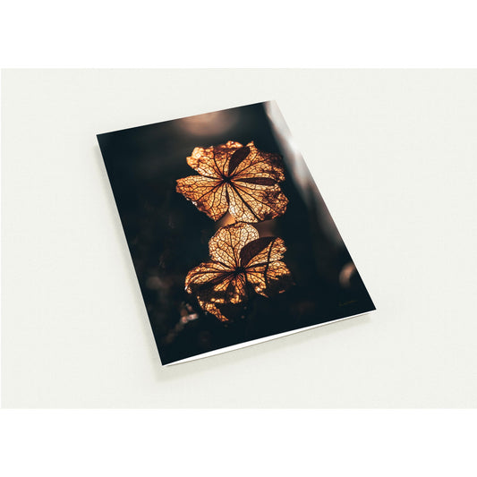 Golden Bloom - Pakke med 10 foldekort (standardkonvolutter)