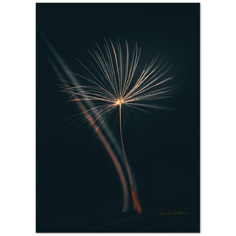 Shine your light - Fotoplakat uten ramme